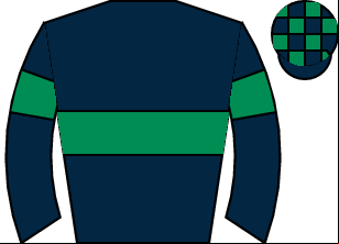 Horse silk