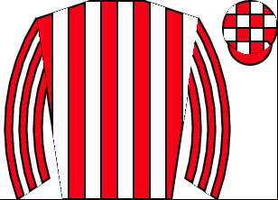 Horse silk
