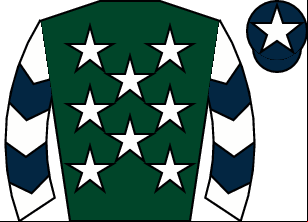 Horse silk