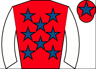 Horse silk