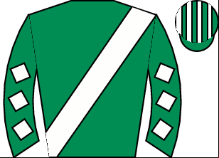 Horse silk