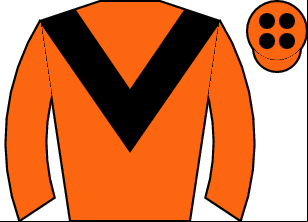 Horse silk
