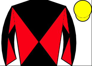 Horse silk
