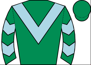 Horse silk