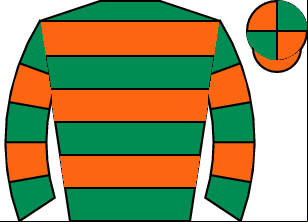 Horse silk