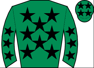 Horse silk