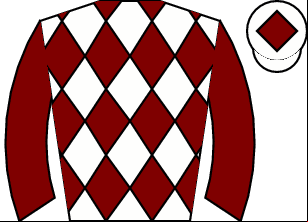Horse silk