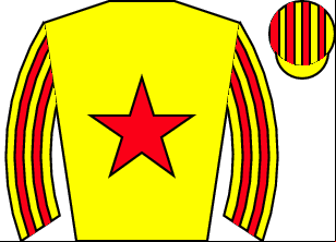 Horse silk