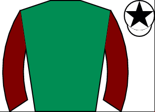 Horse silk