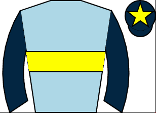 Horse silk