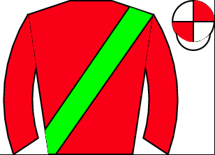 Horse silk