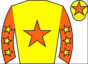 Horse silk
