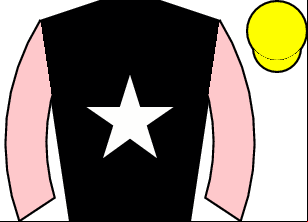 Horse silk
