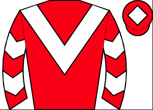 Horse silk