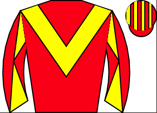 Horse silk
