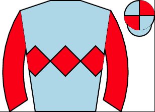 Horse silk