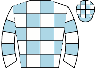 Horse silk