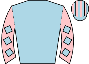 Horse silk