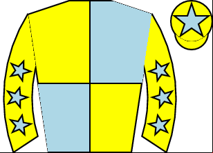 Horse silk