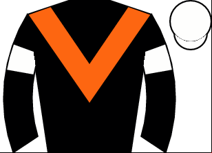Horse silk