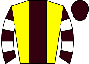 Horse silk
