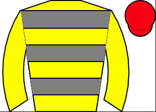 Horse silk