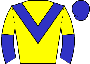 Horse silk