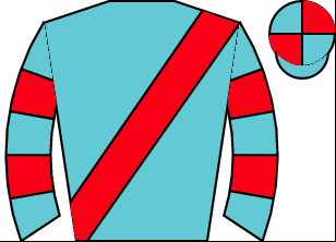 Horse silk