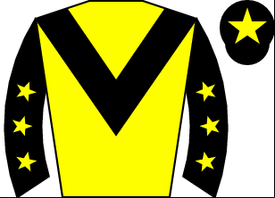 Horse silk