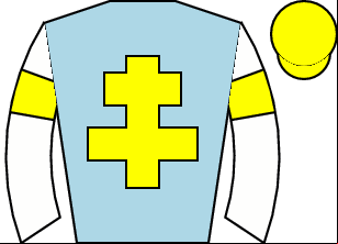 Horse silk