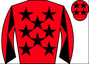 Horse silk