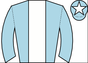 Horse silk
