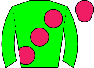 Horse silk