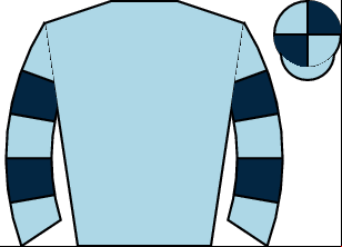 Horse silk