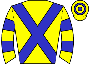 Horse silk