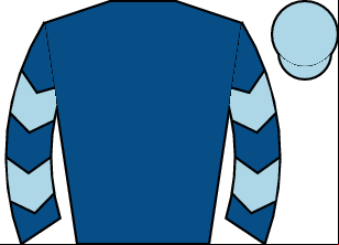 Horse silk