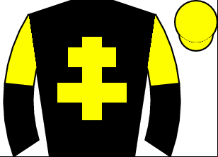 Horse silk