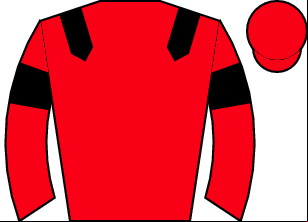 Horse silk