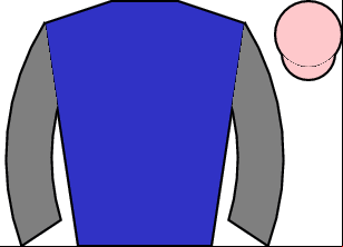 Horse silk