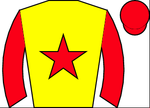 Horse silk