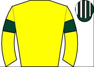 Horse silk