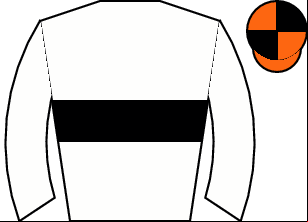 Horse silk
