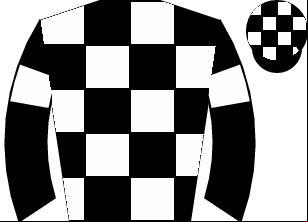 Horse silk