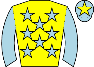 Horse silk