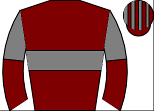 Horse silk