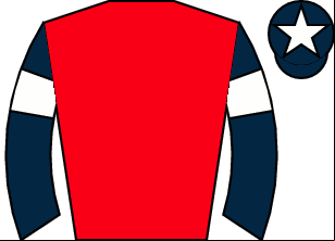 Horse silk