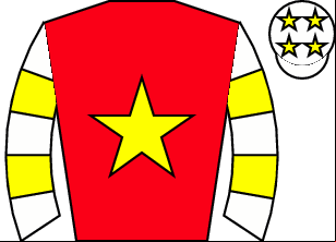 Horse silk