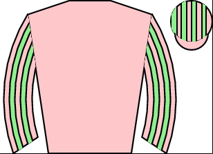 Horse silk