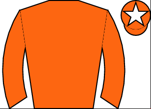 Horse silk