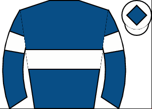 Horse silk